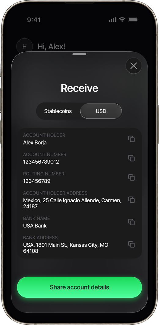 USD account routing and account details in Jazari One